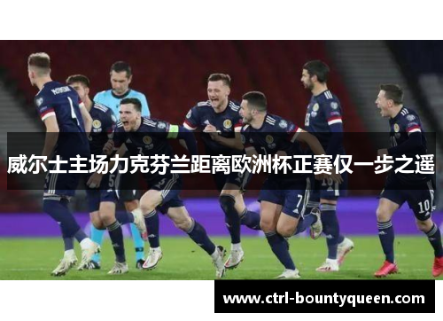 威尔士主场力克芬兰距离欧洲杯正赛仅一步之遥 威尔士主场力克芬兰距离欧洲杯正赛仅一步之遥