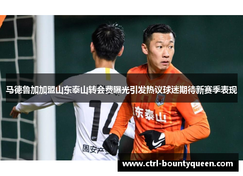 马德鲁加加盟山东泰山转会费曝光引发热议球迷期待新赛季表现